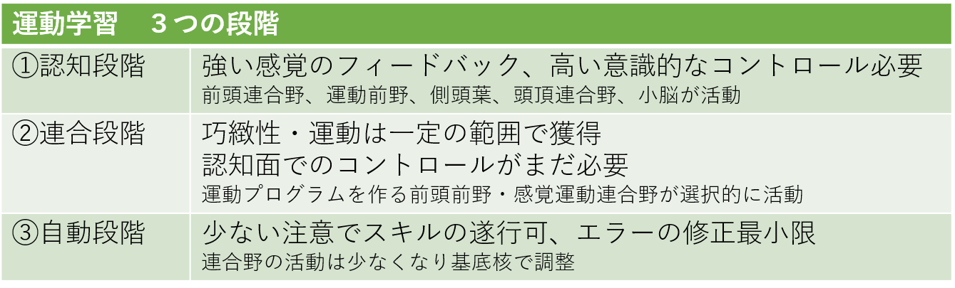 脳卒中 運動学習について②ー運動学習の3つの段階ー | 越谷リハビリ だるまリハビリセンター